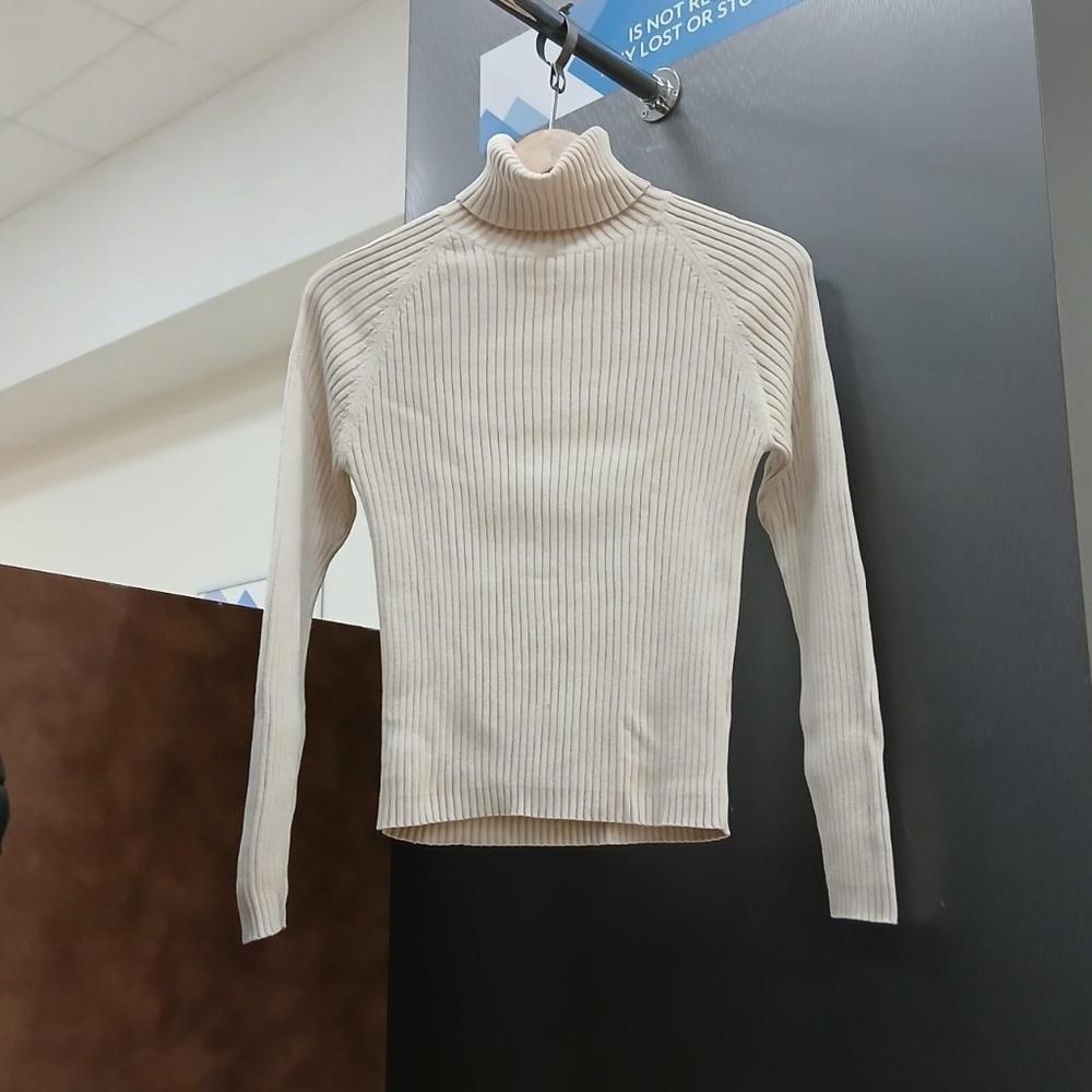 Beige Turtleneck Sweater Top